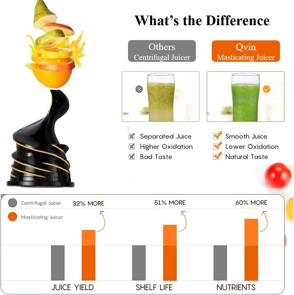 Mini Cold Press Juicer