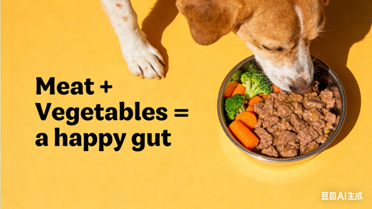 Why Your Dog’s Poop Is Smelly After Eating Meat? The Secret of Gut Health 🐶