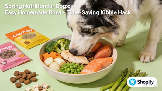 Spring Nutrition for Dogs: Easy Homemade Bowl + Time-Saving Kibble Hack