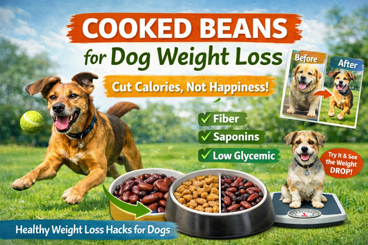 Dog Weight Loss: No More Starvation! Cooked Beans Are the Secret Weapon