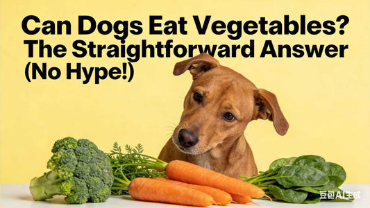 Can Dogs Eat Vegetables? The Straightforward Answer ！