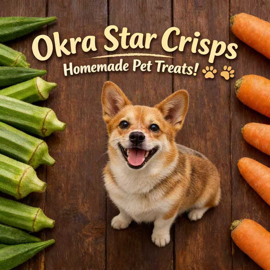 Homemade Pet Treat: Okra Star Crisps to Fix Veggie Aversion (With Everyday Ingredients!)