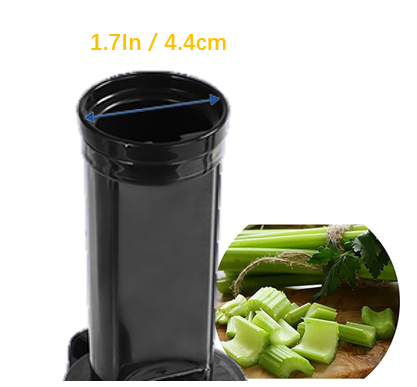 Mini Cold Press Juicer