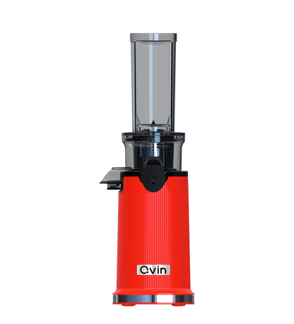 Mini Cold Press Juicer