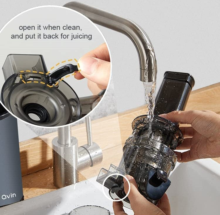 Mini Cold Press Juicer